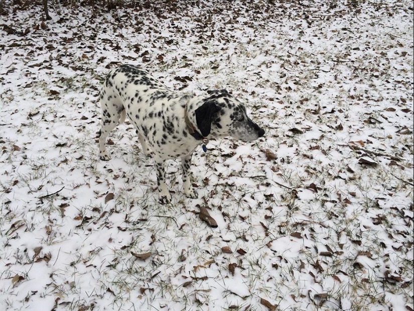 iPhone Photography Awards 2014 Winners iPhone Photography Awards 2014 Winners