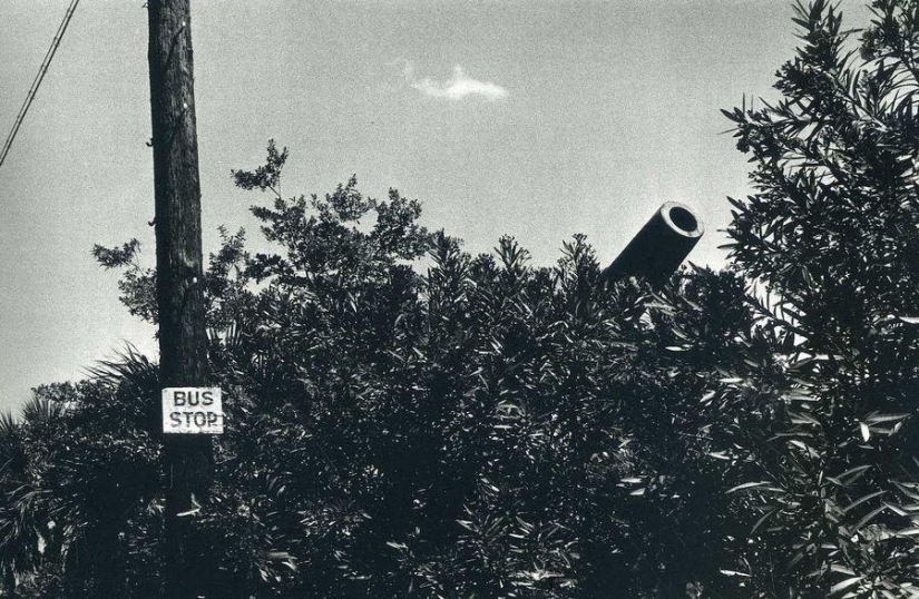 Ironic photographs by Elliott Erwitt