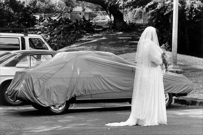 Ironic photographs by Elliott Erwitt