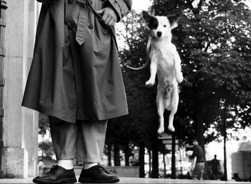 Ironic photographs by Elliott Erwitt