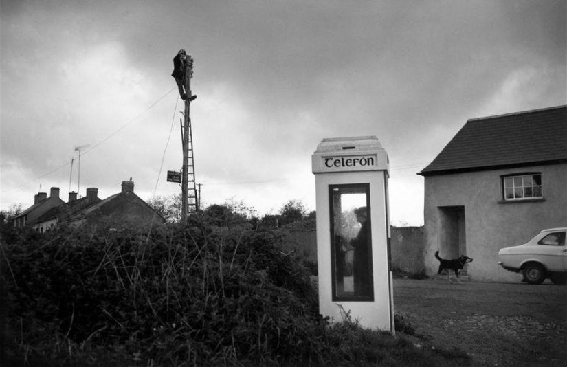 Ironic photographs by Elliott Erwitt
