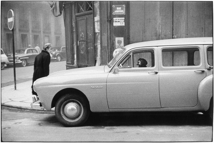 Ironic photographs by Elliott Erwitt