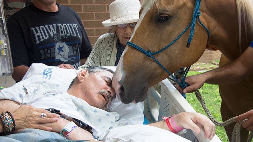 It is impossible to read without tears: the last wishes of dying people It is impossible to read without tears: the last wishes of dying people