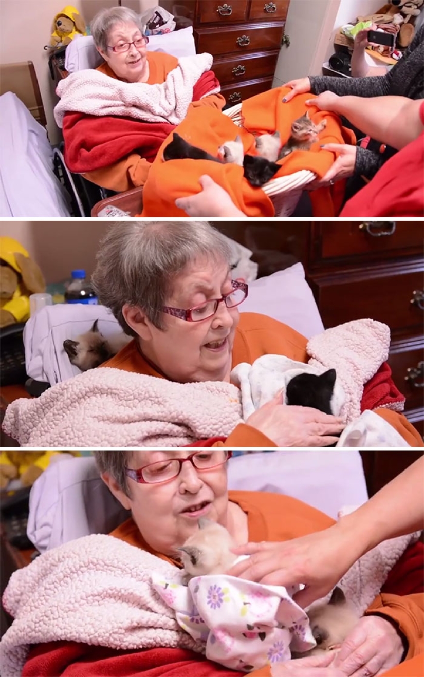 It is impossible to read without tears: the last wishes of dying people It is impossible to read without tears: the last wishes of dying people