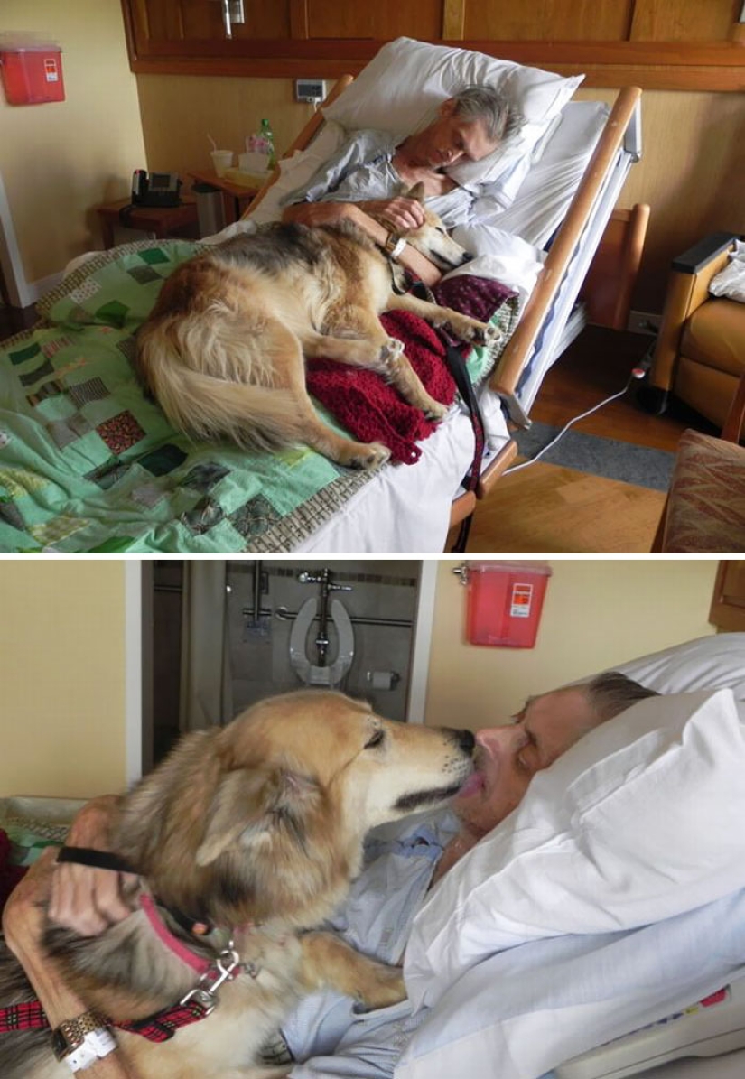 It is impossible to read without tears: the last wishes of dying people It is impossible to read without tears: the last wishes of dying people