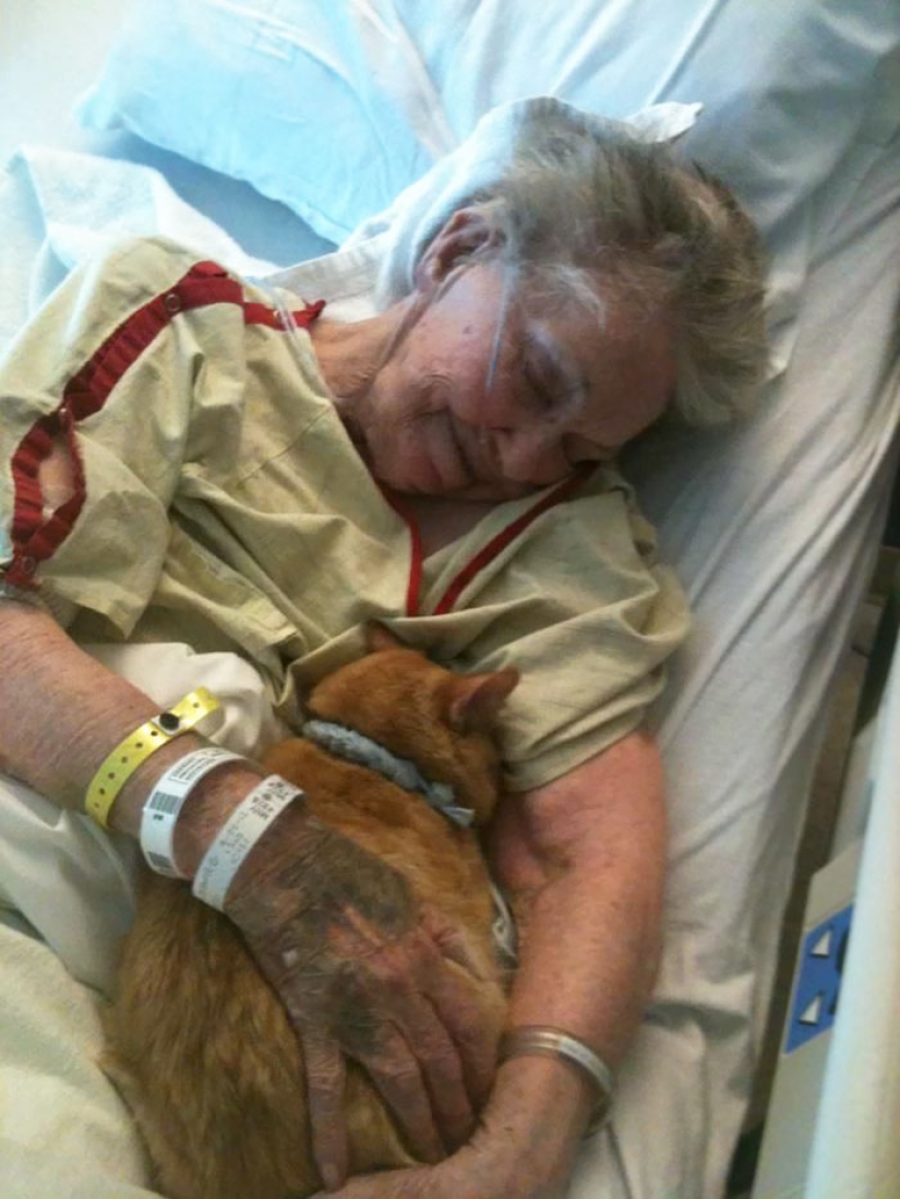 It is impossible to read without tears: the last wishes of dying people It is impossible to read without tears: the last wishes of dying people