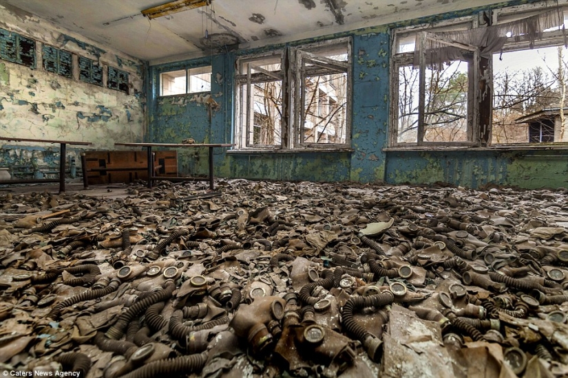 It's as if humanity has left the Earth: 31 years ago there was an accident at the Chernobyl nuclear power plant It's as if humanity has left the Earth: 31 years ago there was an accident at the Chernobyl nuclear power plant