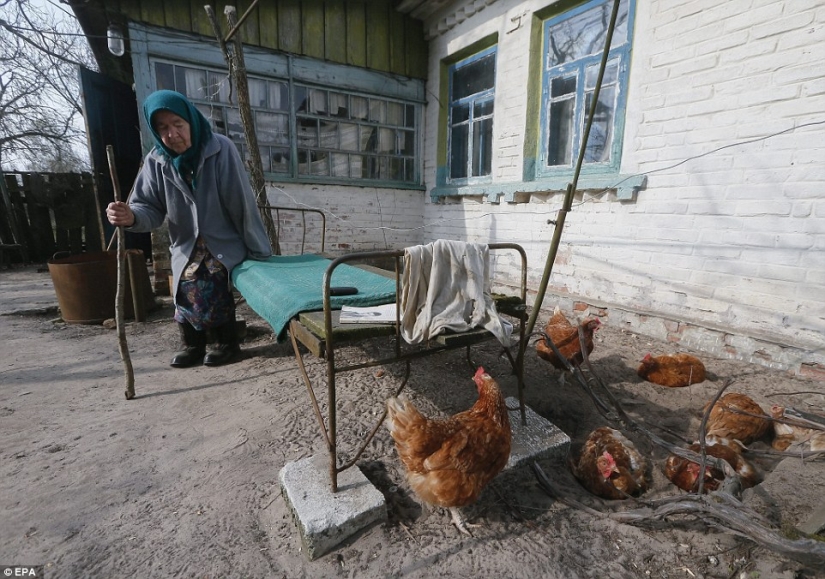 It's as if humanity has left the Earth: 31 years ago there was an accident at the Chernobyl nuclear power plant It's as if humanity has left the Earth: 31 years ago there was an accident at the Chernobyl nuclear power plant