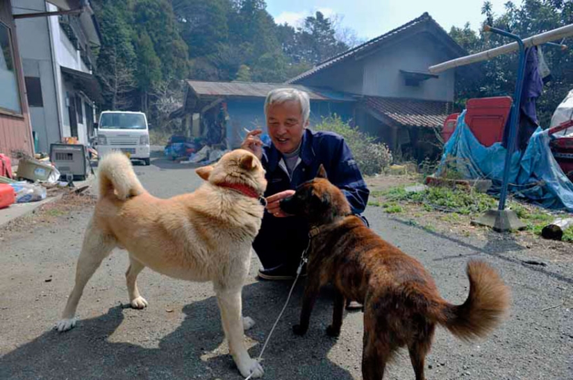 Japanese man returns to Fukushima contaminated area to feed abandoned animals
