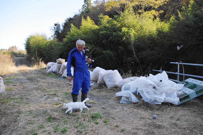 Japonés regresa a zona contaminada de Fukushima para alimentar a animales abandonados