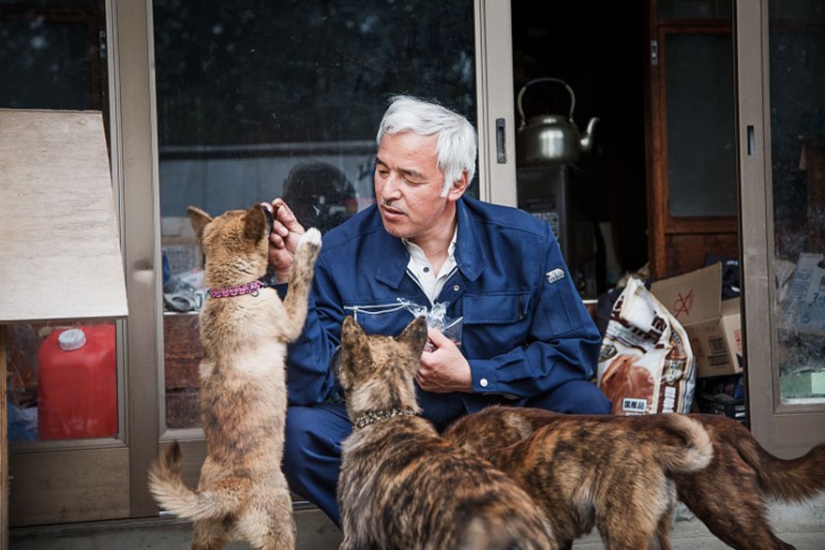 Japonés regresa a zona contaminada de Fukushima para alimentar a animales abandonados