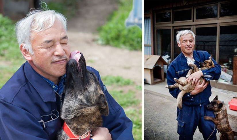 Japonés regresa a zona contaminada de Fukushima para alimentar a animales abandonados