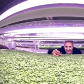 Jardín en un refugio antibombas