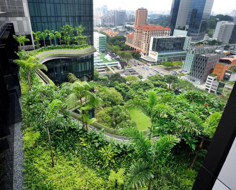 Jardín único en la fachada de un hotel en Singapur. Jardín único en la fachada de un hotel en Singapur.