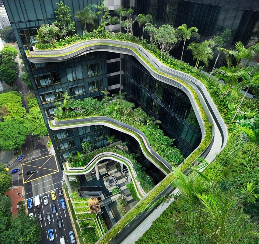 Jardín único en la fachada de un hotel en Singapur. Jardín único en la fachada de un hotel en Singapur.