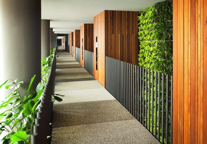 Jardín único en la fachada de un hotel en Singapur. Jardín único en la fachada de un hotel en Singapur.