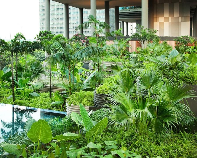 Jardín único en la fachada de un hotel en Singapur. Jardín único en la fachada de un hotel en Singapur.
