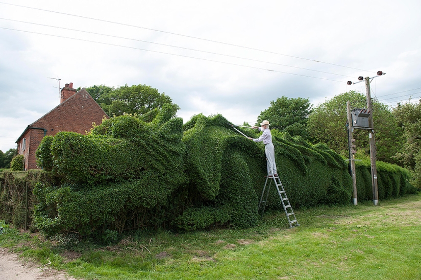 John Stormborn: An Englishman Raised a Dragon on His Lawn John Stormborn: An Englishman Raised a Dragon on His Lawn