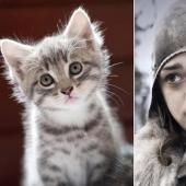 "Juego de Tronos" por gatos