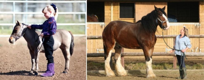 Juegos asombrosos de la naturaleza: grandes y pequeños Juegos asombrosos de la naturaleza: grandes y pequeños