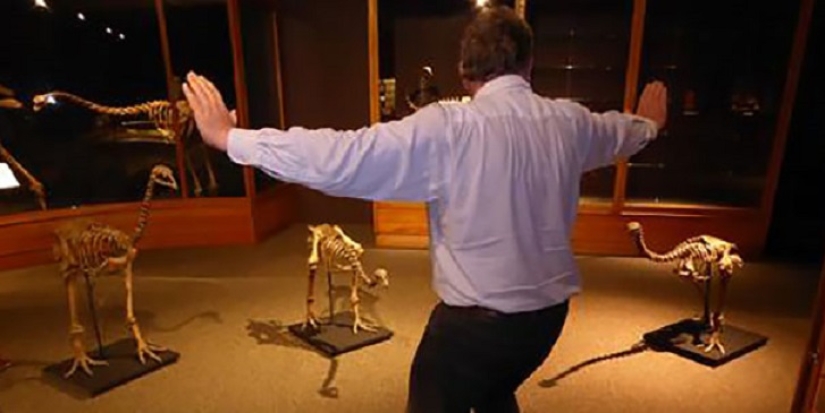 jurassic zoo jurassic zoo