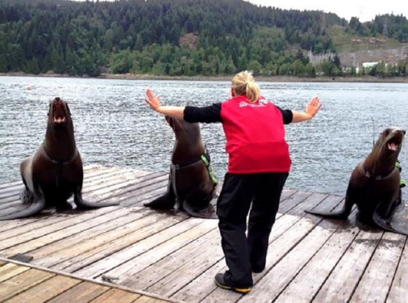 jurassic zoo jurassic zoo