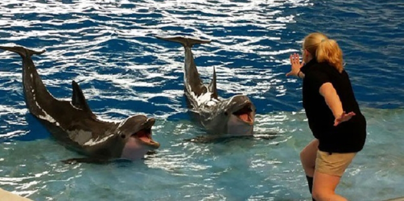 jurassic zoo jurassic zoo