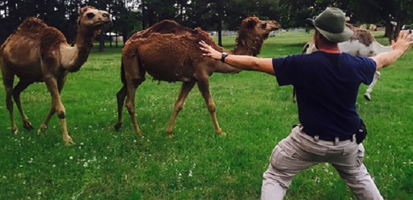 jurassic zoo jurassic zoo