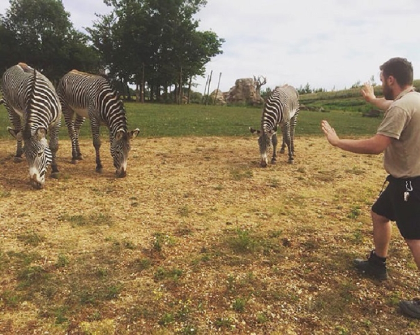 jurassic zoo jurassic zoo