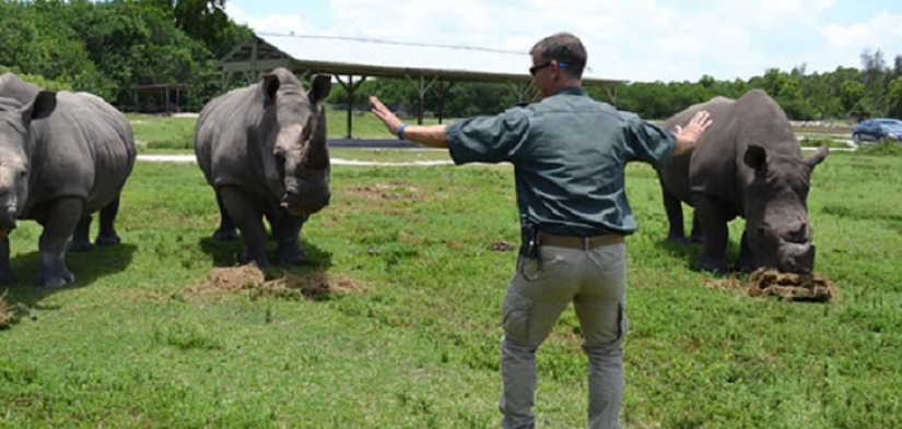 jurassic zoo jurassic zoo