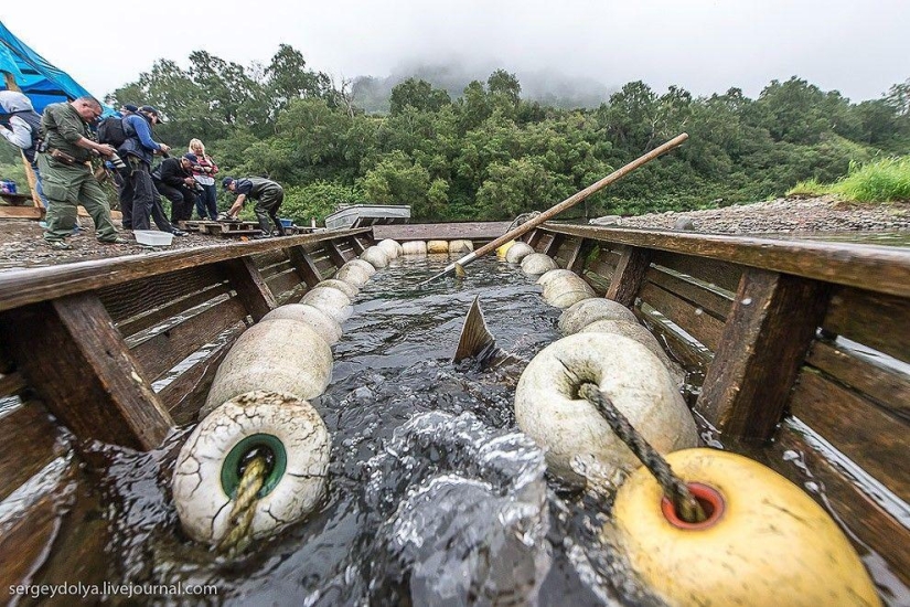 Kamchatka. Salmón