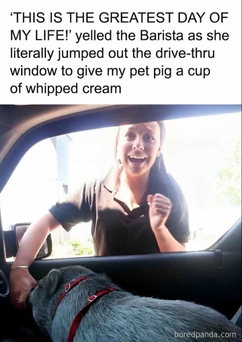 ‘Kind Humour’: 15 Funny And Sweet Memes That Don’t Offend Anyone
