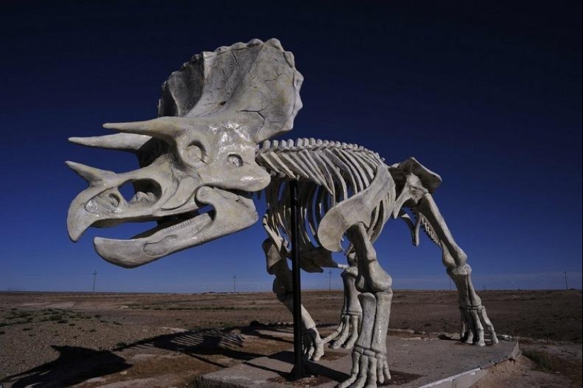 Kissing dinosaurs of Eren Hot in China Kissing dinosaurs of Eren Hot in China
