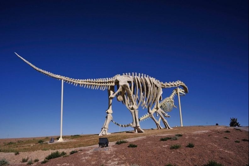 Kissing dinosaurs of Eren Hot in China Kissing dinosaurs of Eren Hot in China