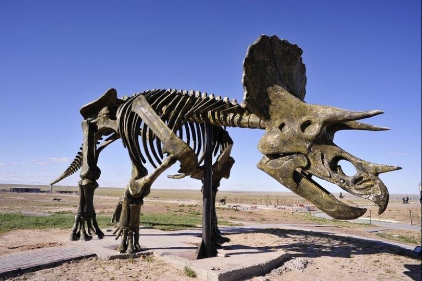 Kissing dinosaurs of Eren Hot in China Kissing dinosaurs of Eren Hot in China