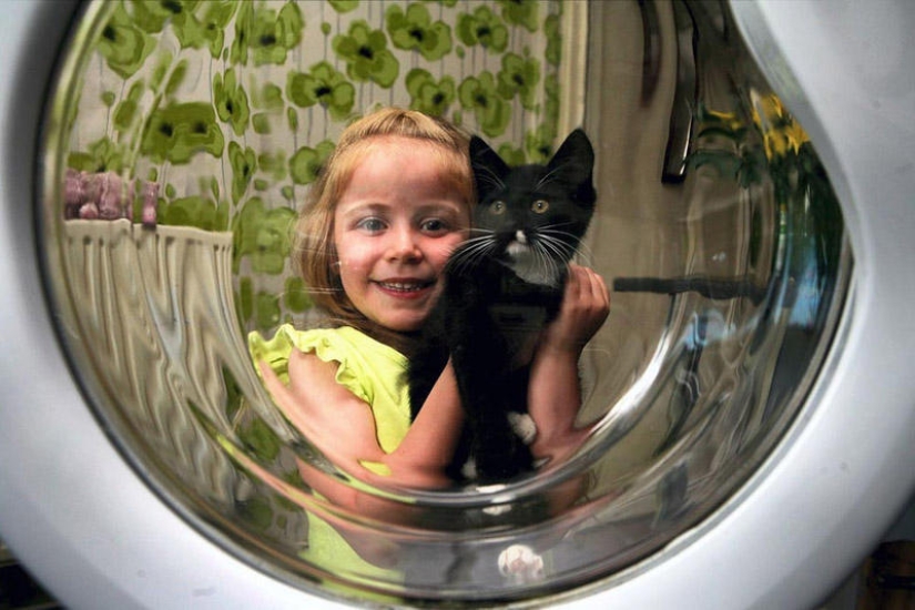 Kitten miraculously survived after an hour of washing in a typewriter