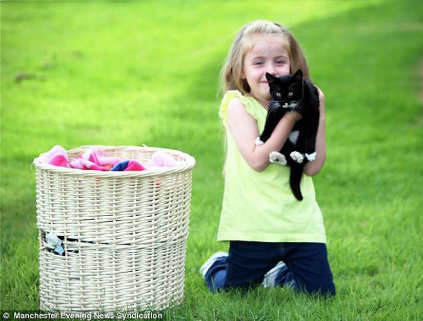 Kitten miraculously survived after an hour of washing in a typewriter