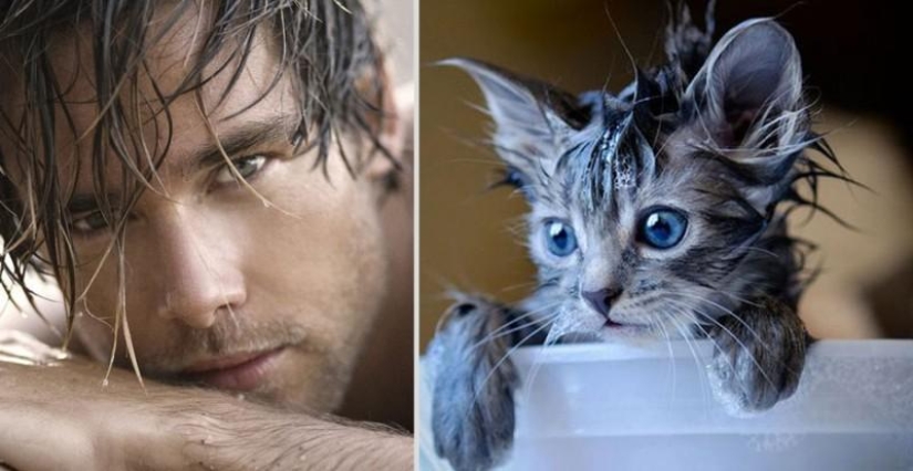 Kittens and guys