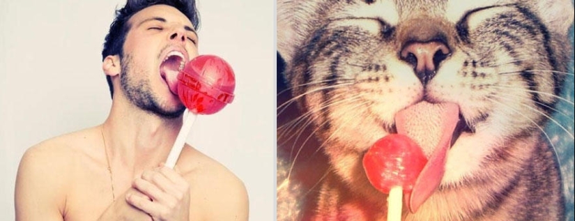 Kittens and guys
