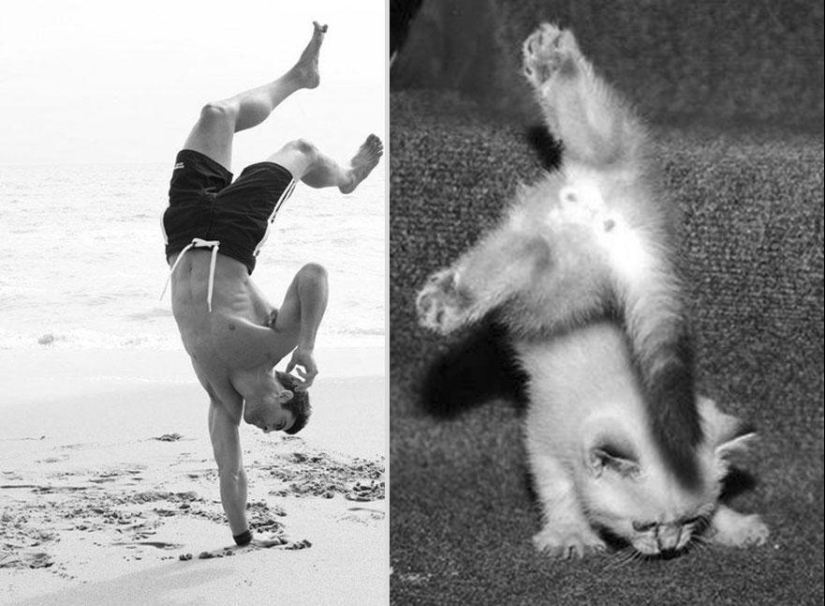 Kittens and guys