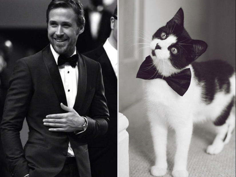 Kittens and guys