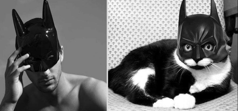 Kittens and guys