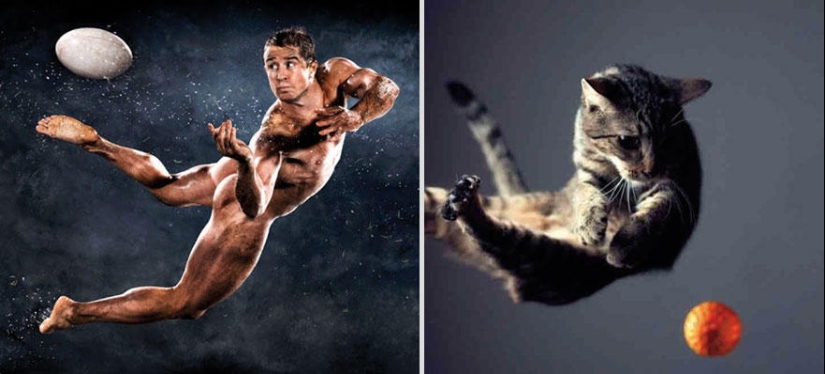 Kittens and guys