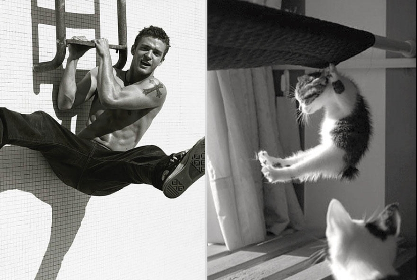 Kittens and guys