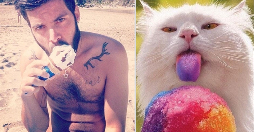 Kittens and guys