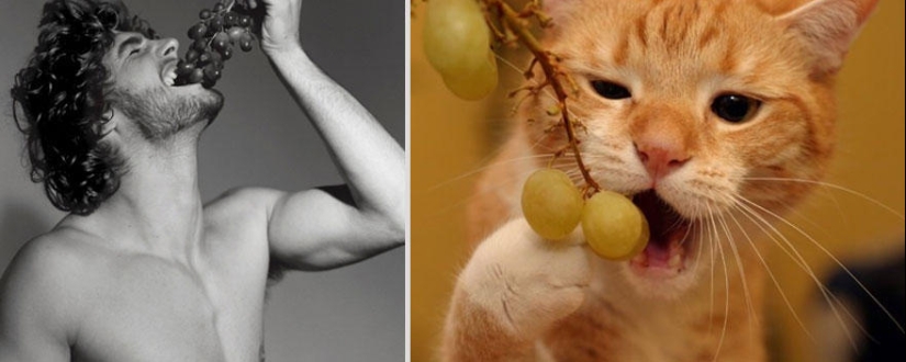 Kittens and guys