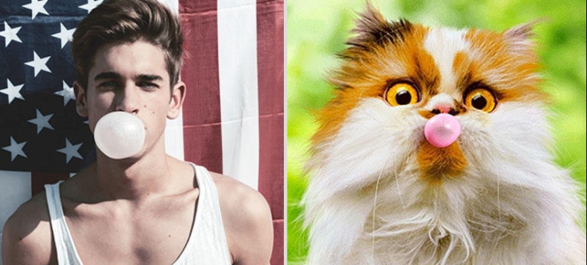 Kittens and guys