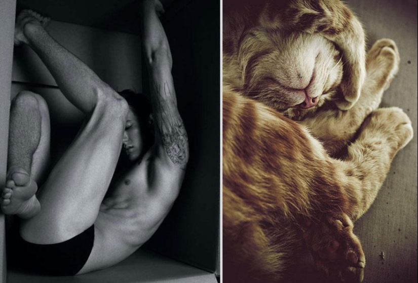 Kittens and guys