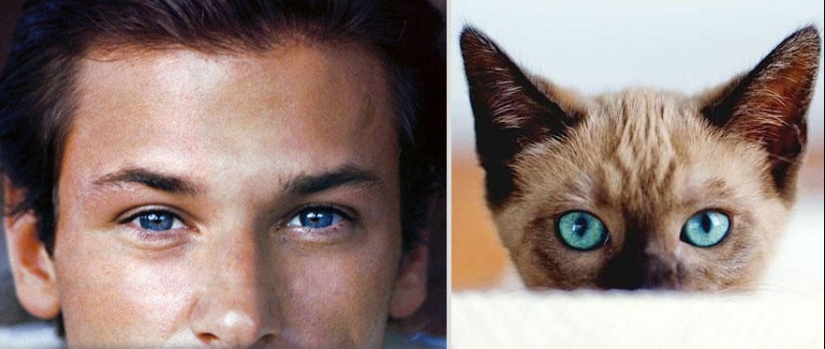 Kittens and guys