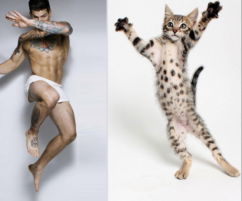 Kittens and guys